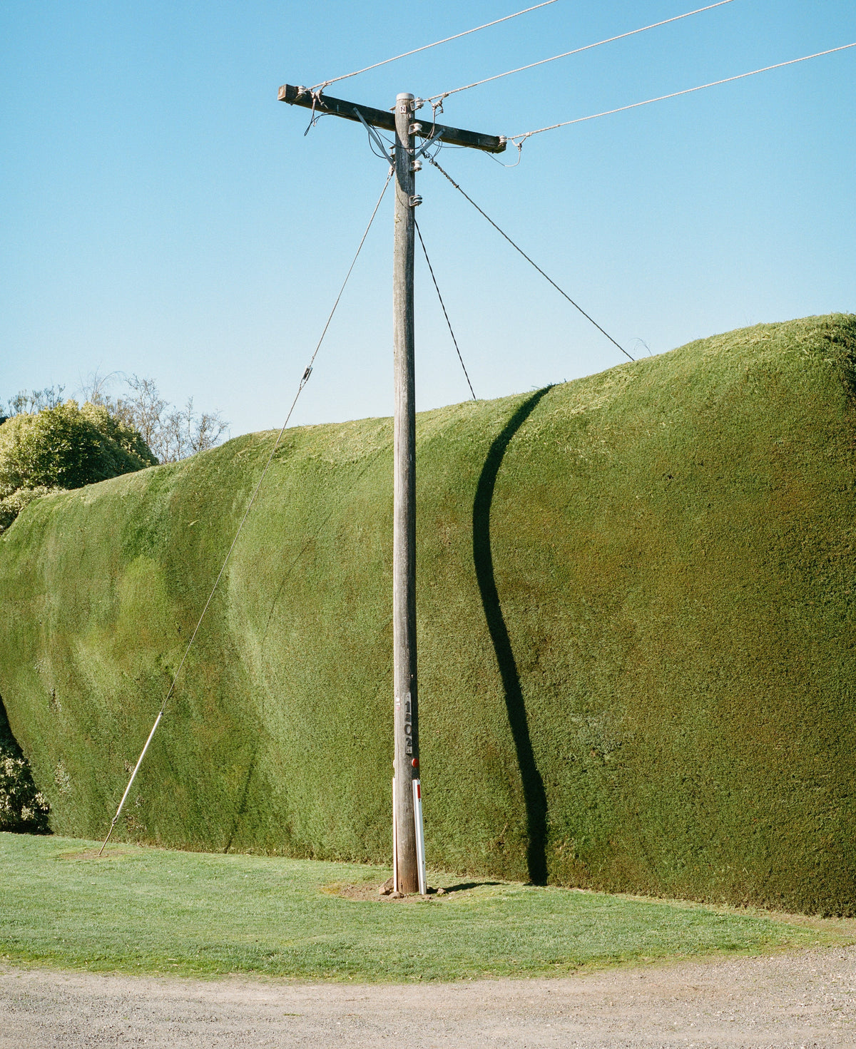 Hillvale Gallery — EOIs open