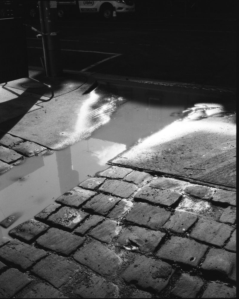 Fomapan 400 Ortho — 120