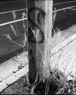 Fomapan 400 Ortho — 120