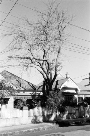 Kentmere Pan 200 — 35mm