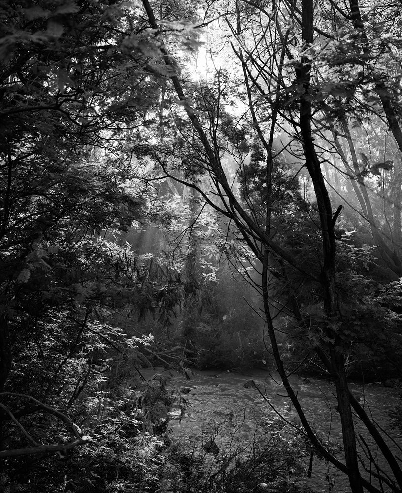 Ilford Xp2 Photography Ilford XP2 Super — 120 – Hillvale