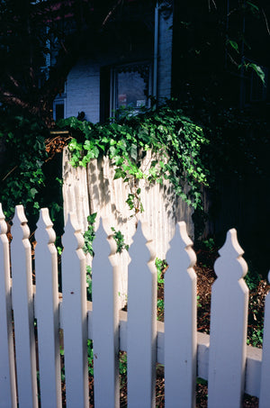 Fujifilm Velvia 100 — 35mm